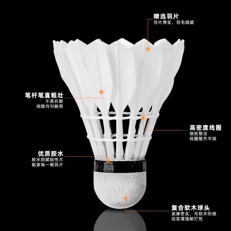 Lion Badminton Shuttlecock Goo - Feather Shuttlecock recension och pris