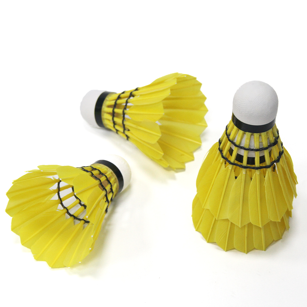 Colorful custom tournament bad - Feather Shuttlecock recension och pris